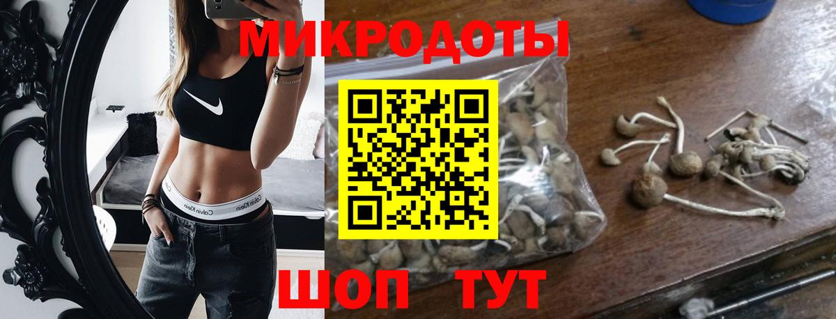 Псилоцибиновые грибы Psilocybine cubensis Рыбинск